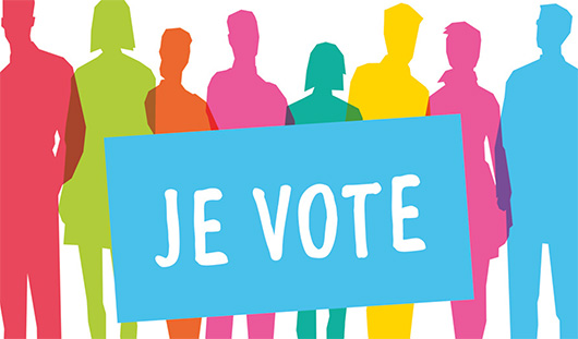 elections-departementales-je-vote-530
